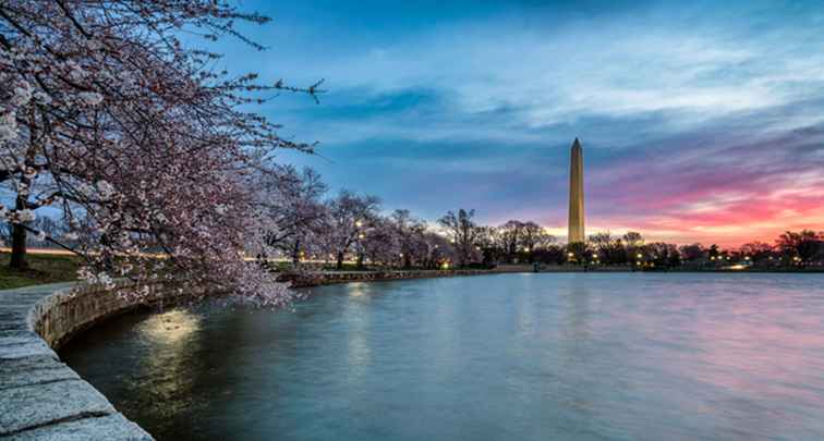 17 Principali attrazioni a Washington, D.C. / Washington DC.