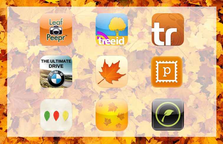 4 Free Fall Foliage Apps du behöver / Appar och webbplatser