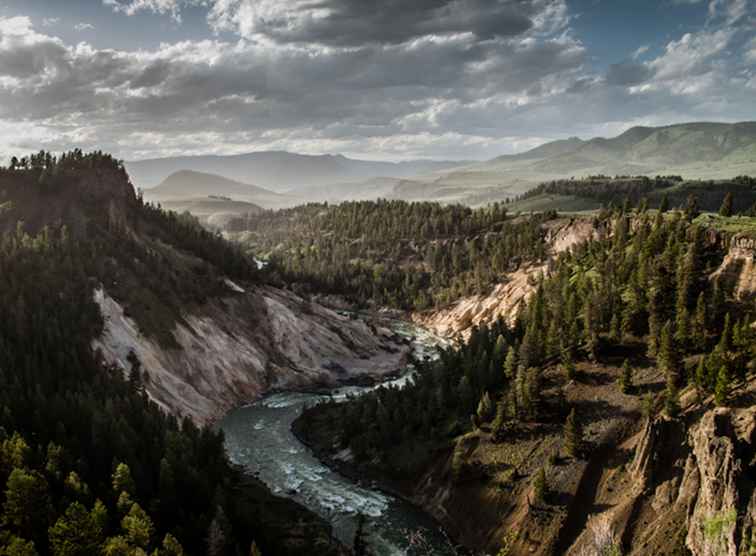 5 grandi escursioni nel parco nazionale di Yellowstone / California