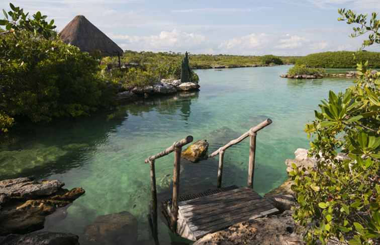 6 mejores lugares para practicar snorkel en México / 