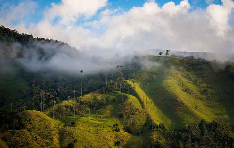 7 goede redenen om Colombia te bezoeken / Colombia