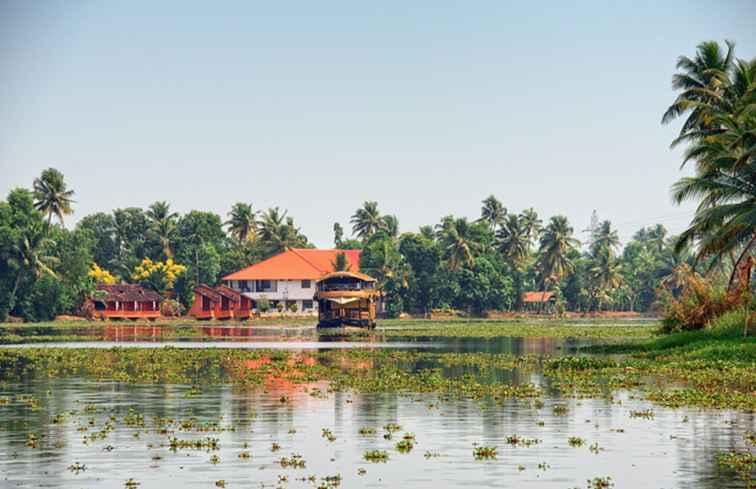 9 migliori famiglie vicino a Alleppey sulle backwaters del Kerala / Kerala