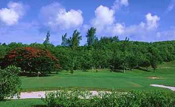 A proposito di golf e campi da golf a Bermuda / Golf