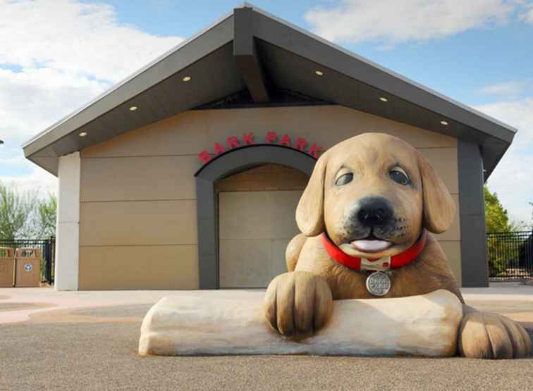 America's Top 10 Dog-Friendly City Getaways / 