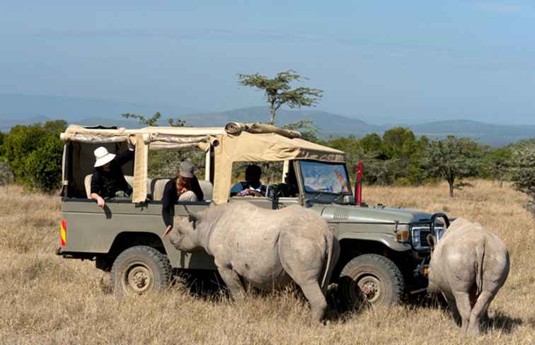 Een inleiding tot Safari Conservancy in Kenia / Avontuur