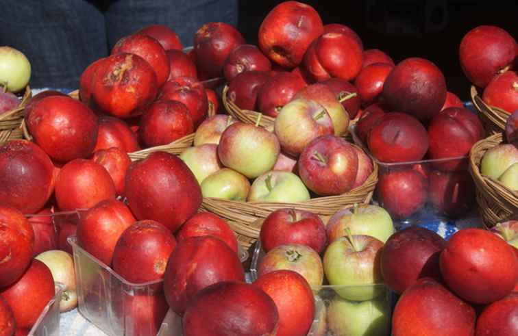 Apple plukken boomgaarden in de buurt van Albuquerque / New Mexico