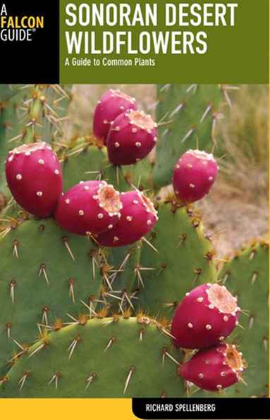 Guide dei campi di fiori selvatici e cactus dell'Arizona / Arizona