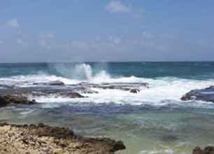 Foto e panoramica delle Barbados per le famiglie / Barbados