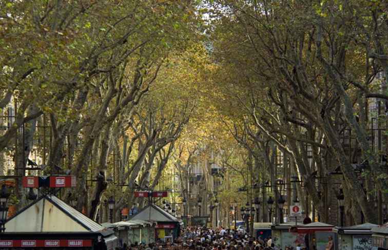 Barcelona in oktober Weer, wat te pakken en wat te zien / Spanje