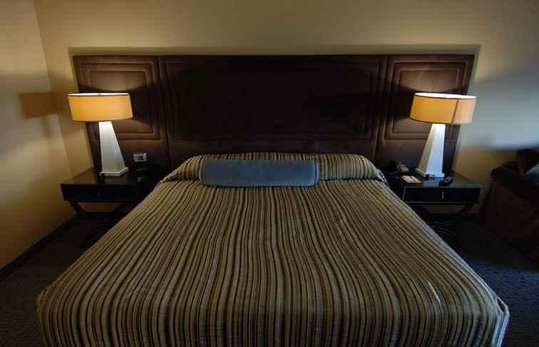 Bed Bugs in Las Vegas Hotel Camere / Nevada