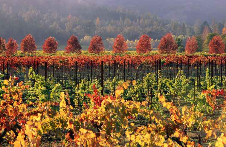 California Fall Getaways / California