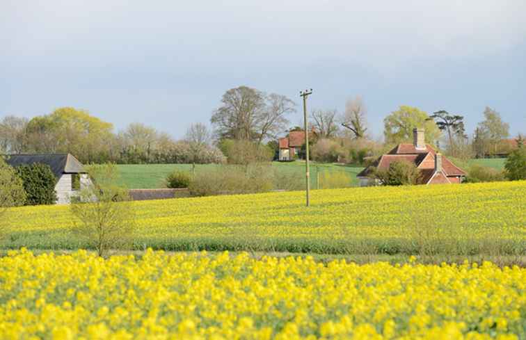 Cycling for All in Suffolk e nell'Inghilterra orientale / Inghilterra