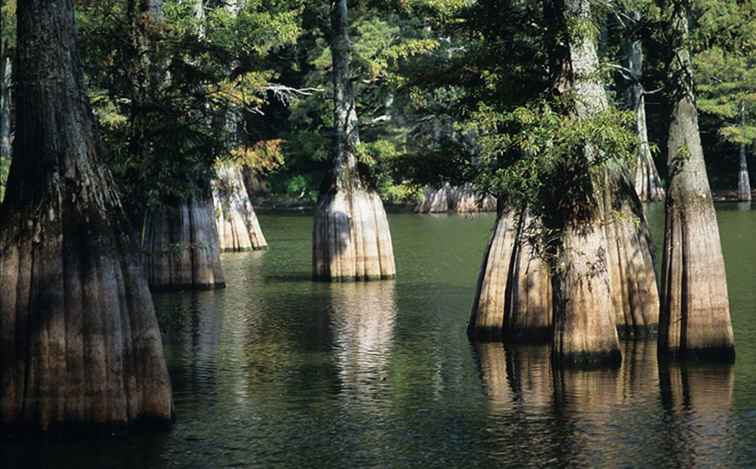 East Texas Sehenswürdigkeiten / Texas