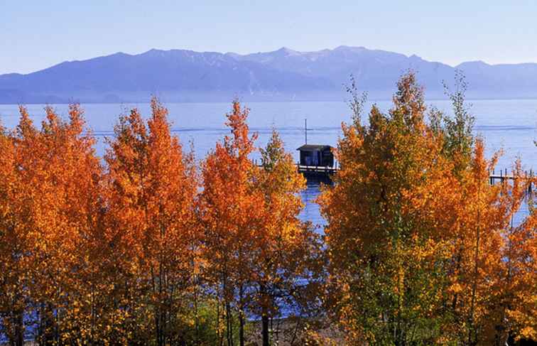 Fall Color nel Lake Tahoe e nelle regioni della Sierra orientale / Nevada