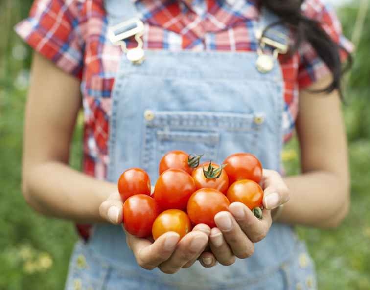 Farmstands & Farm Tours i San Francisco Bay Area / kalifornien