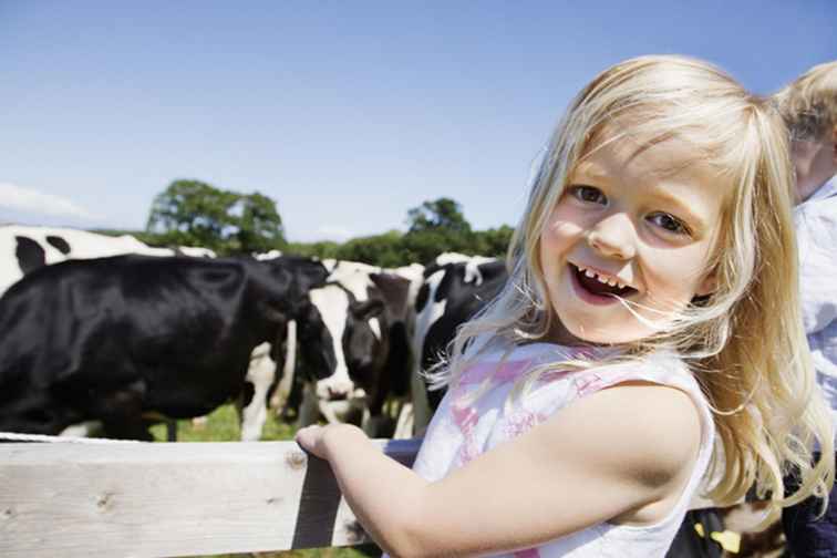 Field Trip Ideen für Kinder aller Altersstufen