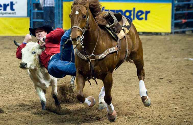 Arrivare al National Finals Rodeo a Las Vegas / Nevada