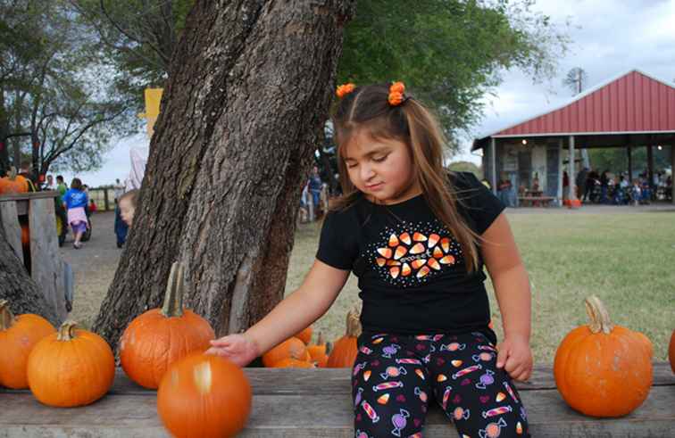 Halloween aktiviteter i Dallas-Fort Worth / Texas