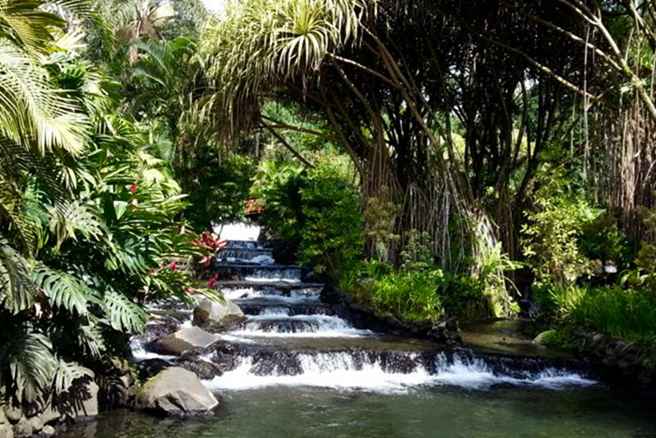 Wie Sie Ihre Residenz in Costa Rica bekommen