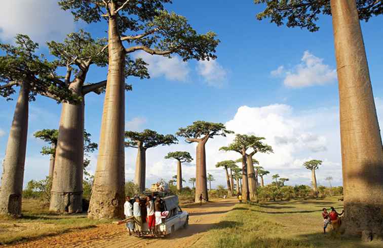 Madagascar Travel Guide Informazioni e fatti essenziali / Africa e MiddleEast