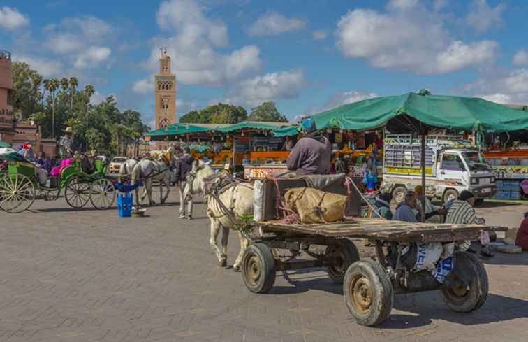 Marrakesh's Djemma el Fna La guida completa / Marocco