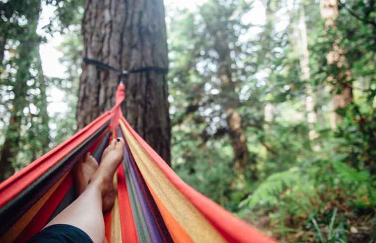 Mendocino Camping Guide / kalifornien