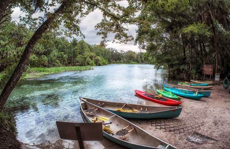 Primavere naturali da visitare nei pressi di Orlando / Florida