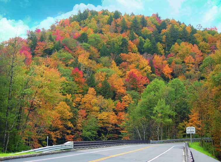 New England Fall Foliage Bus Tours