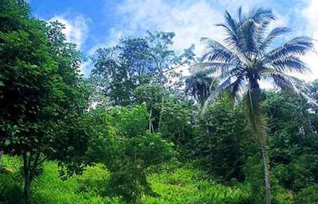 Viaggio in Nicaragua prima di partire