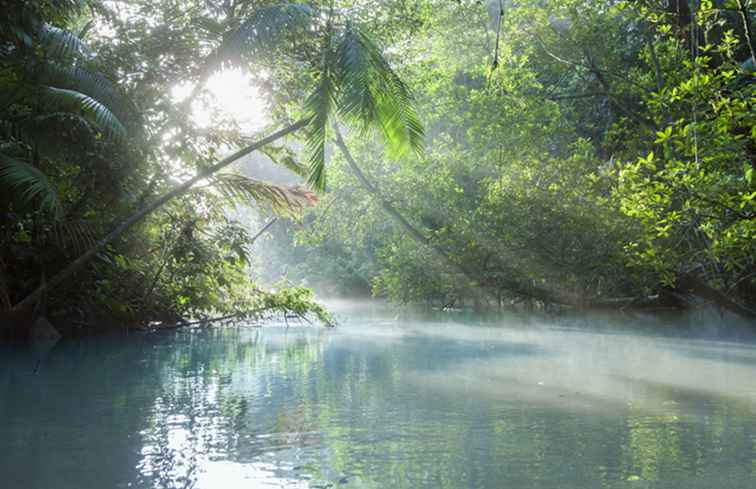 Il fiume Orinoco del Sud America