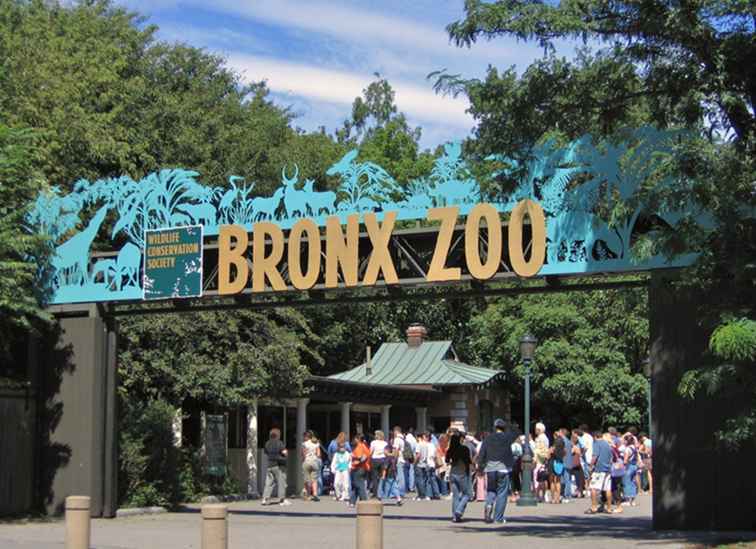 Fai un giro a piedi dello zoo del Bronx / New York