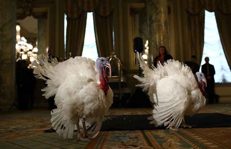 El fin de semana de acción de gracias de 2017 en el área de Washington, DC / Washington DC.