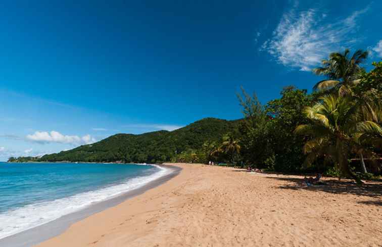 De bästa all-inclusive-hotellen i Guadeloupe