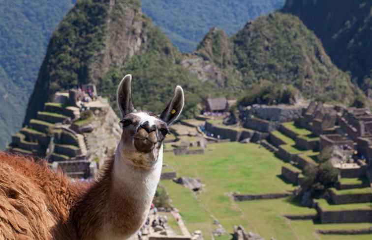 Die besten Inka Trail Reiseveranstalter in Peru / Peru