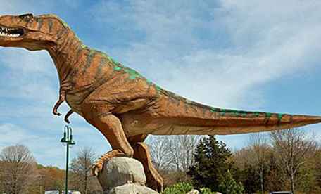 Il luogo dei dinosauri al tour fotografico di Nature's Art / Connecticut