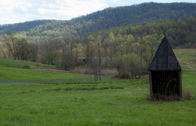 Le 15 migliori cose da fare nella Virginia del Nord / Washington DC.