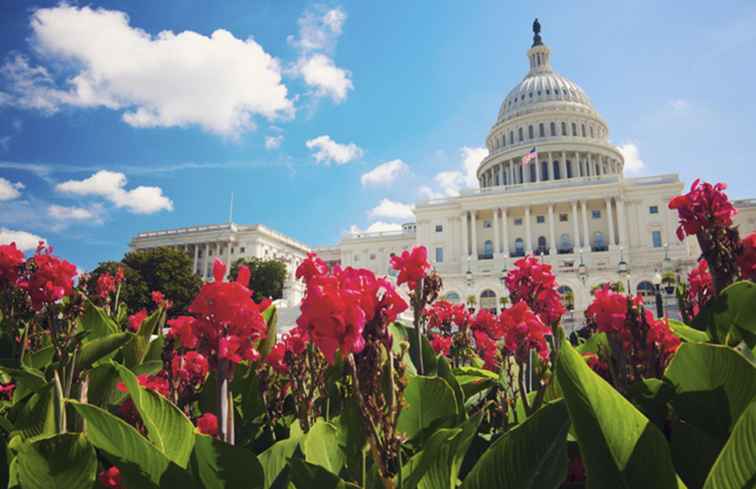 Het Amerikaanse Capitol-gebouw in Washington DC Tours & Visiting Tips / Washington, D.C..