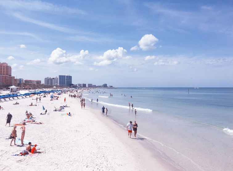 Cosas que hacer en Tampa para el fin de semana del Día del Trabajo / Florida