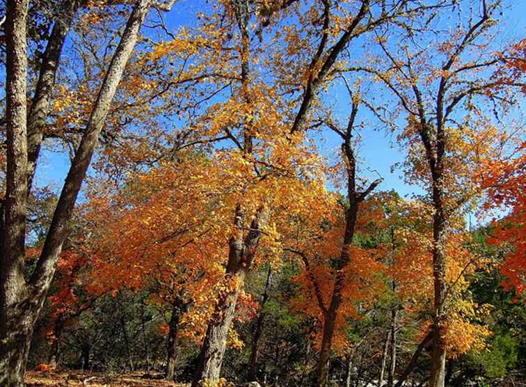 Choses à faire au Texas en novembre / Texas