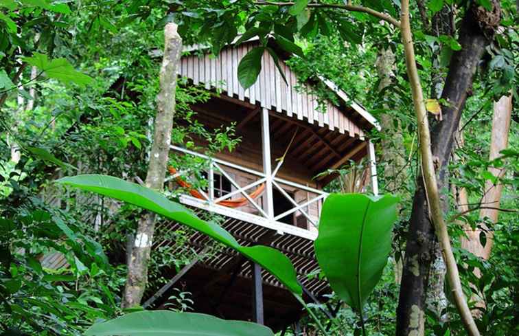 Top 6 Dominica Ecotourism Resorts / Dominica