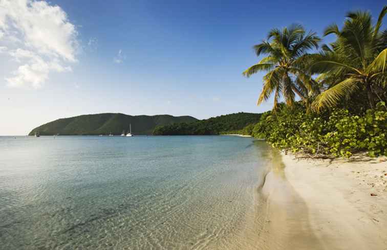 Le migliori spiagge di St. John, Isole Vergini americane / 