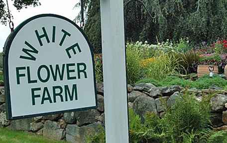 White Flower Farm Foto-Tour / Connecticut
