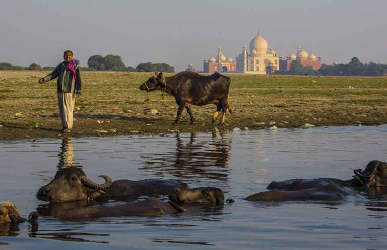 10 luoghi da visitare nei dintorni di Agra Oltre il Taj Mahal / Uttarpradesh