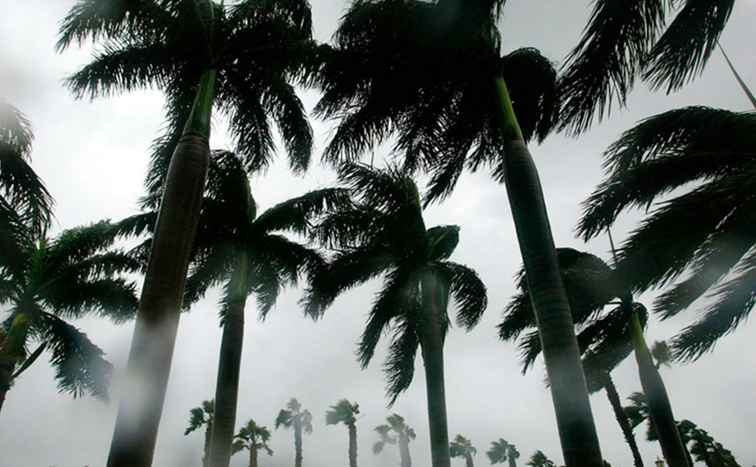 100+ cose da fare in Florida quando piove / Florida