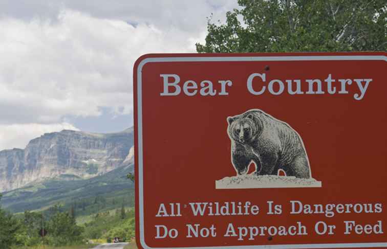 13 choses que vous ne pouvez pas faire dans les parcs nationaux des États-Unis