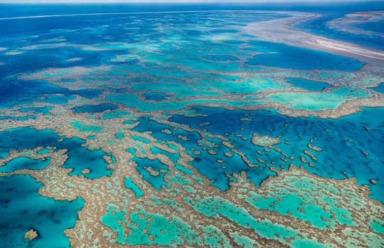 19 fatti sorprendenti sulla Grande Barriera Corallina / Australia