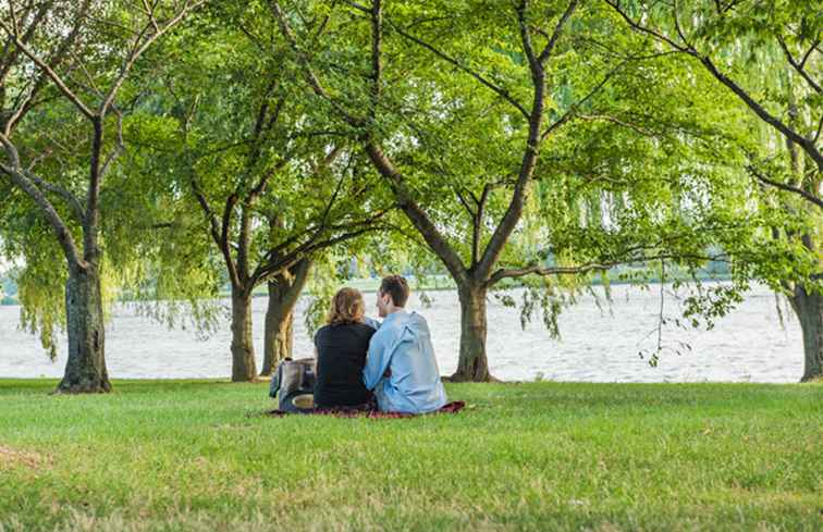 5 modi romantici per celebrare il tuo anniversario a Washington, D.C. / Washington DC.