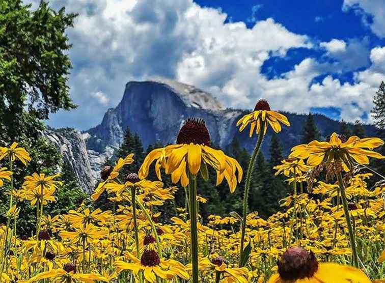 6 modi per rendere il tuo viaggio Yosemite ancora migliore