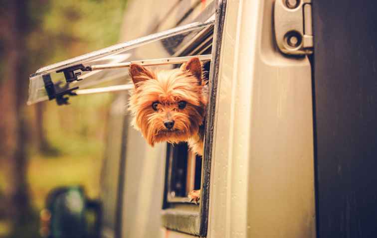 7 de los mejores parques de autocaravanas para perros / Consejos y trucos