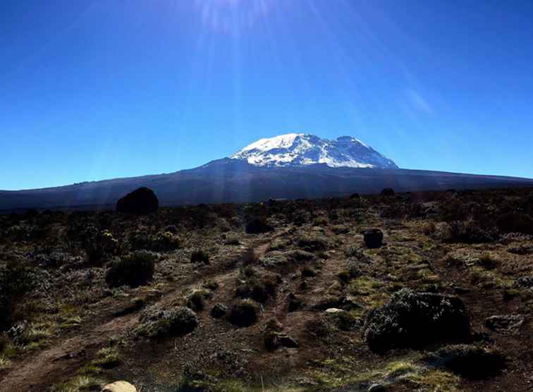 9 leçons tirées de l'ascension du Kilimandjaro / Aventure